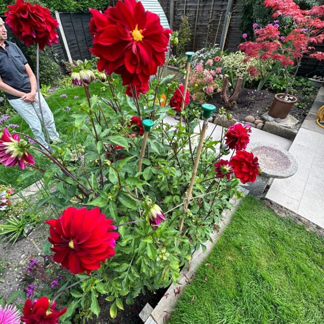 Warners Landscaping