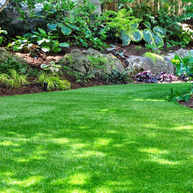Warners Landscaping